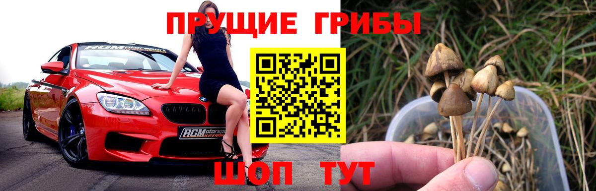 купить закладку  Галлюциногенные грибы Magic Shrooms  Вход с VPN  Красный Сулин  Галлюциногенные грибы Psilocybine cubensis 
